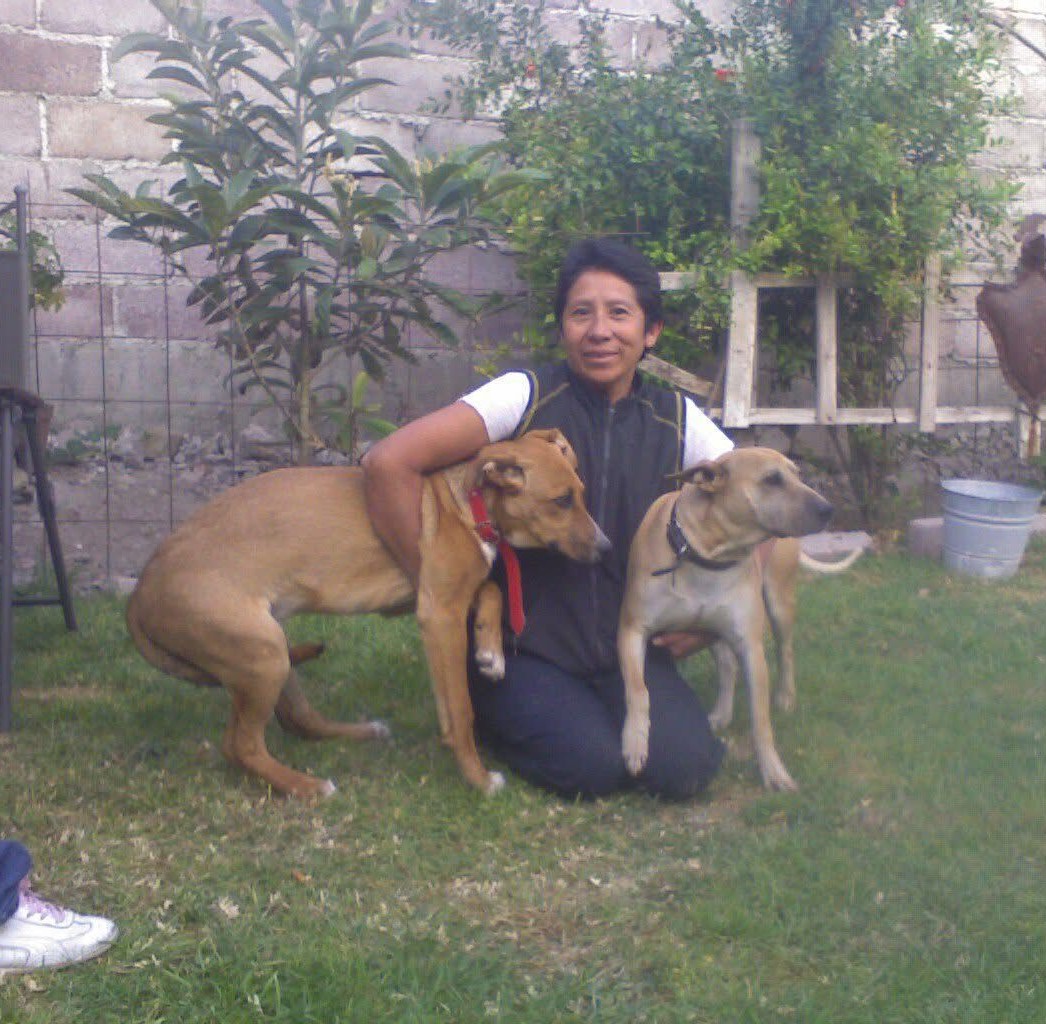 adoptante
